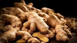 Premium Fresh Ginger Exporter India
